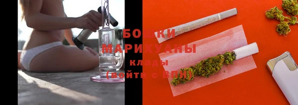 шишки Аркадак