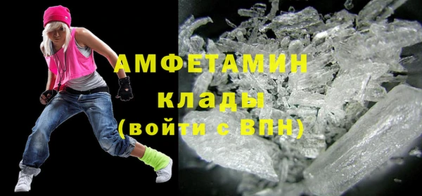 шишки Аркадак
