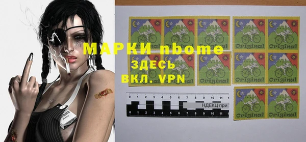 шишки Аркадак