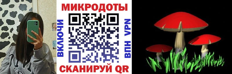 Галлюциногенные грибы MAGIC MUSHROOMS Бутурлиновка